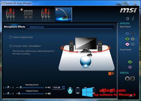 Снимка на екрана Realtek Audio Driver за Windows 8