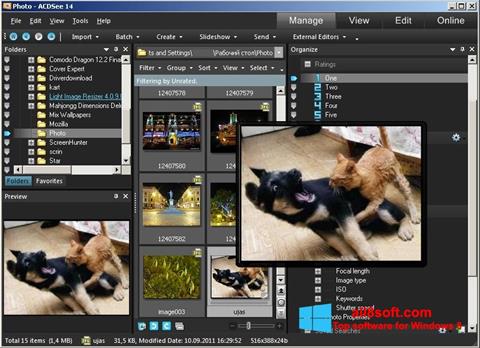 Снимка на екрана ACDSee Photo Manager за Windows 8