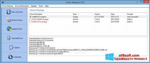Снимка на екрана Driver Magician за Windows 8