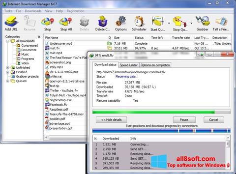 Снимка на екрана Internet Download Manager за Windows 8