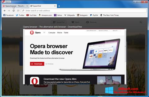 Снимка на екрана Opera Developer за Windows 8