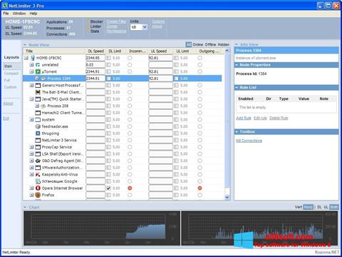 Снимка на екрана NetLimiter за Windows 8