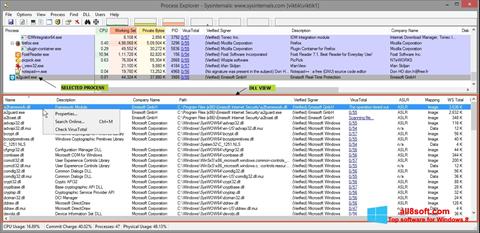 Снимка на екрана Process Explorer за Windows 8